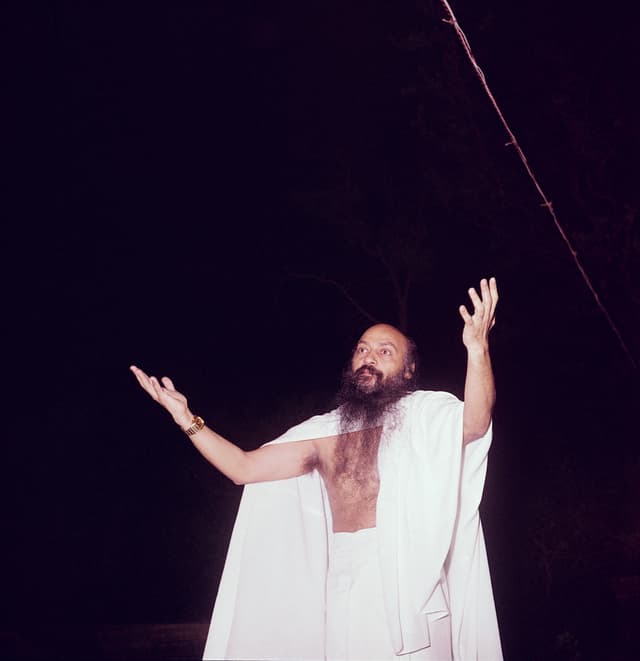 Gallery image 7