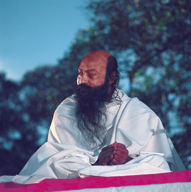 Gallery image 25