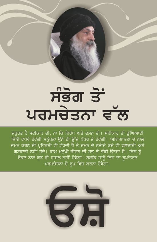 FROM SEX TO SUPERCONSCIOUSNESS (PUNJABI)