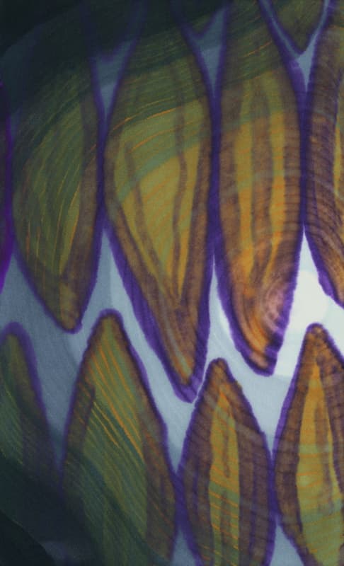 Osho Paintings_014