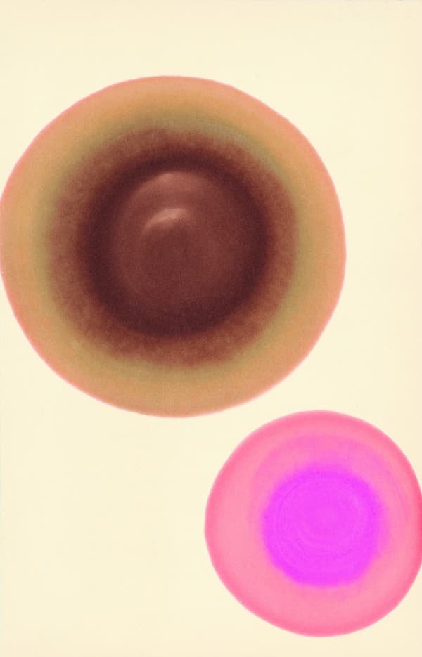 Osho Paintings_019