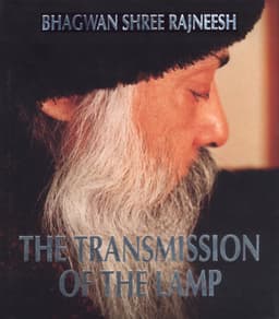 Transmission of the Lamp 01