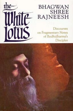 The White Lotus 01